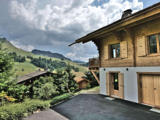 Chalet rénové pour 10 personnes au Chinaillon avec bain nordique - FR-1-458-218 - Le Grand-Bornand - 7