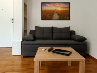 Rose casa apartments Vrnjacka Banja - 4