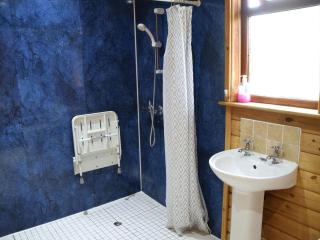 Willow Plus 4 Hot Tub - Garton - 9
