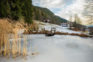 Haus am Kolm - Bad Bleiberg - 2