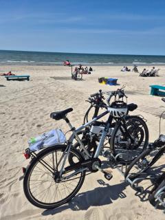 Mėguvos 9 - Modernūs Studijo Apartamentai - 1