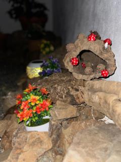 Ventorrillo de Rosa - Casabermeja - 6