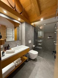 Villa Bergbliss - Yablunytsya - 4