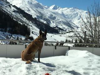 BnB Bellavista Apartment - Andermatt - 2
