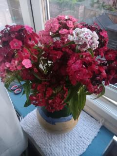 Rase cottage - 7