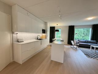 Newly renovated large family apartment, parking, sauna, balcony - Jyväskylä - 8