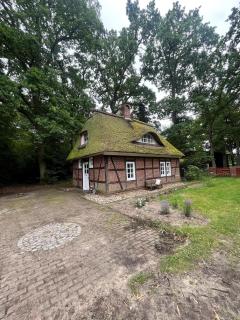 Piets Hof, Ferienhaus - Wesseloh - 9