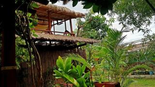Samroiyod Nature and Art Retreat - Ban Phu Yai - 2