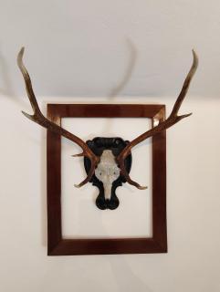 Das Bergnest Maishofen - 4