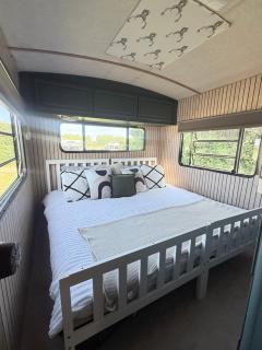Glamping Vintage RV Stay - Hambledon - 4