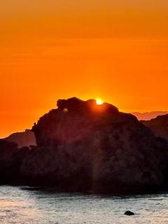 Alba Chiara Licata - Licata - 1