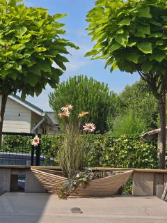 Chalet Dune chaletpark krabbenkreek Sint Annaland - 6