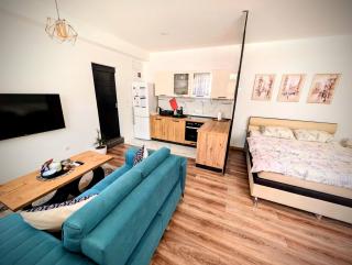 Apartmani Dinarika - 6