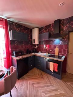 RED SPARROW -T2 avec jacuzzi - 8