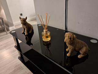 FANTASTIC COZY 3bed Hse London ExCEL Free Parking WIFI Sleeps 6 - London - 5