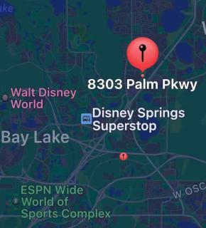 Condo Near Disney Springs-free Shuttle To Parks - 8