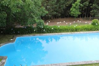 Casa dos Macieis - Entire Main House, Separate Wing of Main House or Entire Guesthouse Quality Stay & Optional Agritourism on Santiago's Way - 3