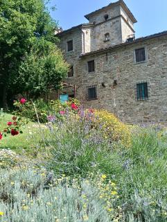 Pieve di Cà Maggiore - Firenzuola - 1