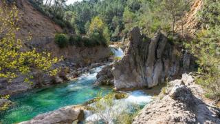 Pinos de las cruces - Cazorla - 9