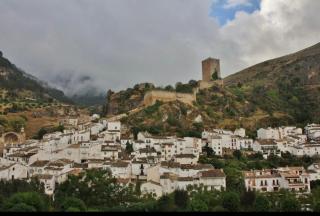 Pinos de las cruces - 2