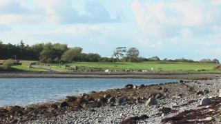 Seashore Cottage on Galway Bay - 6