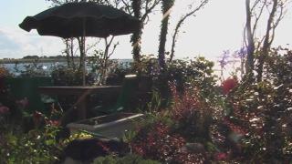 Seashore Cottage on Galway Bay - 3