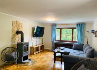 Ferienhaus am Röhrensteig - Bad Gottleuba-Berggiesshübel - 2