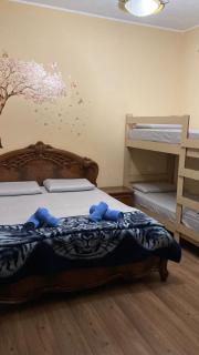 Blissful Hostel - Shkodër - 8