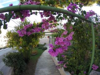 House Helena - 7
