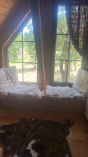Poiana Creasta Cocoșului-Casa Floarea Soarelui - 5