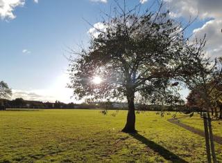 The Airport Getaway - West Drayton - 7