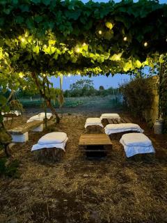 La Rondine bed and breakfast - Uggiano la Chiesa - 9