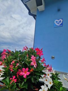 Rdm affittacamere - Albiano - 8