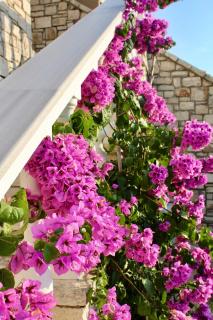 Elizabeth Apartments Himare - 7