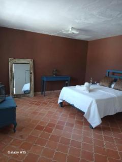 APARTAMENTOS, HOTEL SARITA en el Centro Historico SMA - San Miguel de Allende - 3