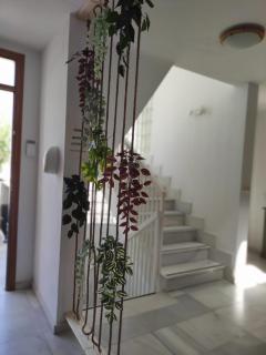 Hostal Taberno - 4