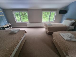 The Old Tredegar - - 2