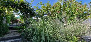 VILLA SALVIA - Holiday house with pool - - 5