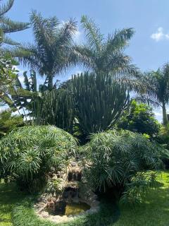 Garden Escape - 0