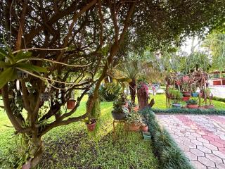 Garden Escape - Arusha - 6