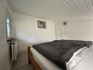 Taylors Allerhaus - 5