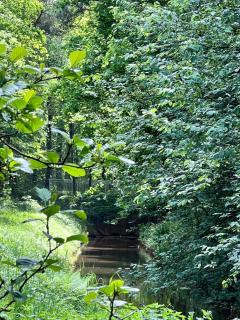 Taylors Allerhaus - 2