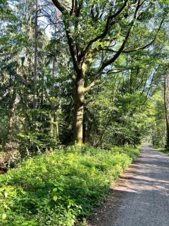 Taylors Allerhaus - 1