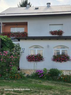 Apartments Žegarac House - Korenica - 0