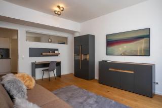 New luxury apartment 3 rooms at Rathausplatz - 8