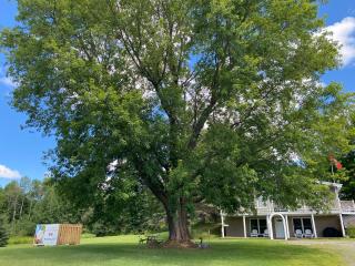 Our Place Up North BnB - 3