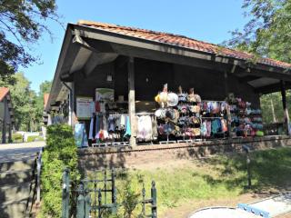 Heerlijk chalet midden op de Veluwe in Hoenderloo - Hoenderloo - 4