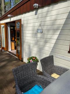 Heerlijk chalet midden op de Veluwe in Hoenderloo - Hoenderloo - 1