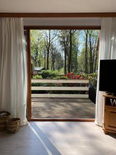 Heerlijk chalet midden op de Veluwe in Hoenderloo - Hoenderloo - 0