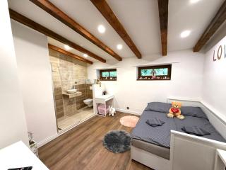 Horský dům pod přehradou u sjezdovky a potůčka v horách - 4